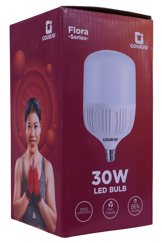 Gourav 30w LED Bulb