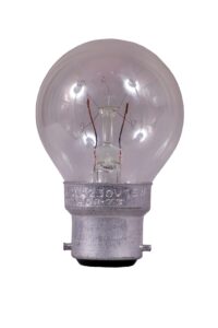 Surya Bulb