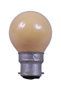 Surya Bulb
